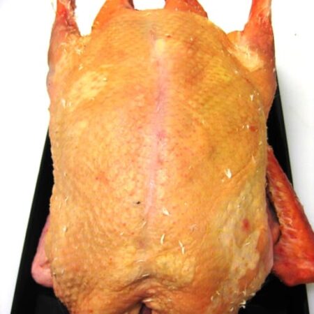 Canard +/-2.6 kg.