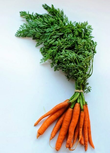 Carottes en botte – environ 1 kg