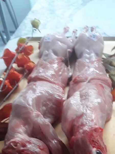 Lapin découpé +/- 1.8 kg