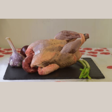 Pintadeau +/- 1.5 kg.