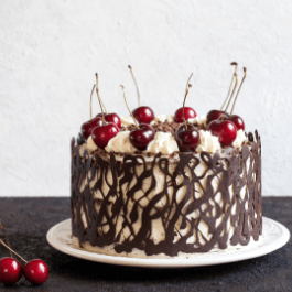 Forêt noire 4 personnes