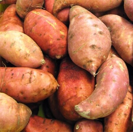 Patates douces / kg
