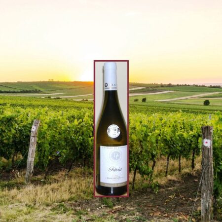 Domaine de Prapin - Coteaux du Lyonnais Trivia Aoc Blanc 2019