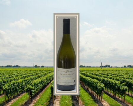 Domaine de la Bregeonnette - Blanc chardonnay - Val de Loire 2023