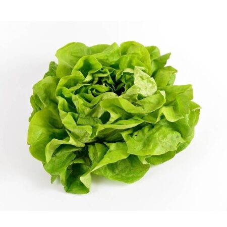 Laitue verte 1 pc