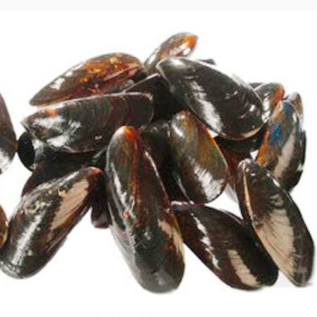 Moules de Zeelande "Golden" - 2kg