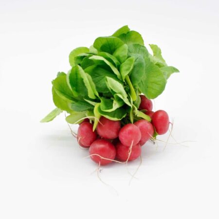Radis /botte