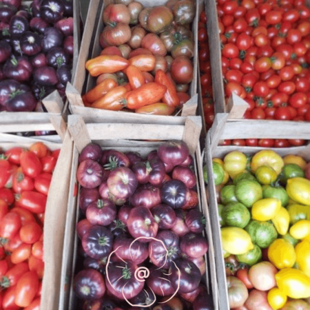 Tomates spéciales en mélange 4 kg + 1 kg gratuit