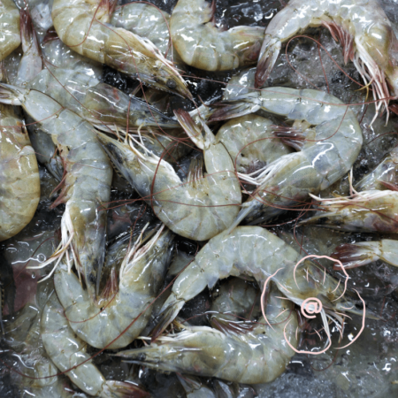 Gambas 8/12 Black Tiger – Surgelées – 1kg
