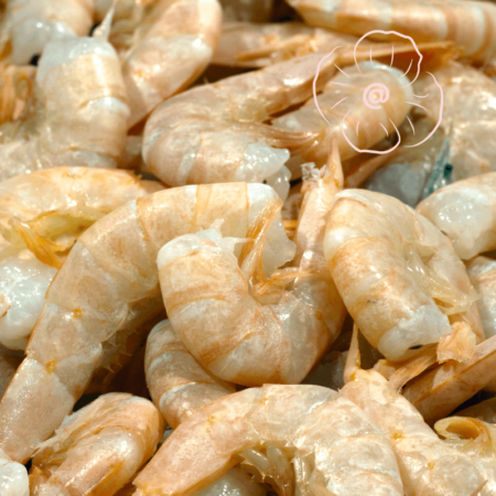 Scampis 16/20 Vanamei EP – Surgelés – 1kg