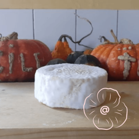 Camembert de chèvre