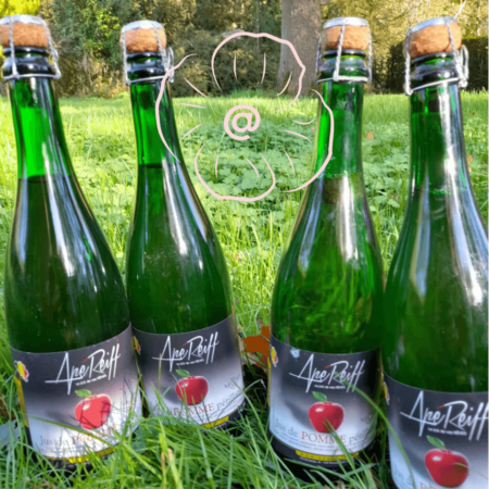 Pur jus de pomme pétillant en 75 cl.