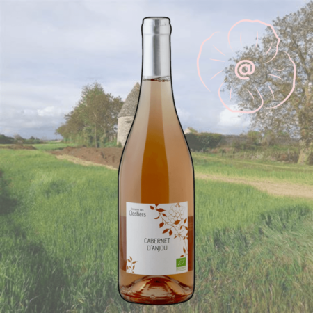 Domaine des Clostiers - Cabernet d'Anjou rosé sec