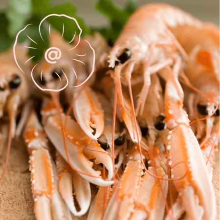 Langoustines fraiches 16/20 - 1kg