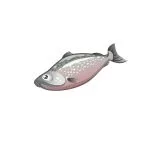Poissons