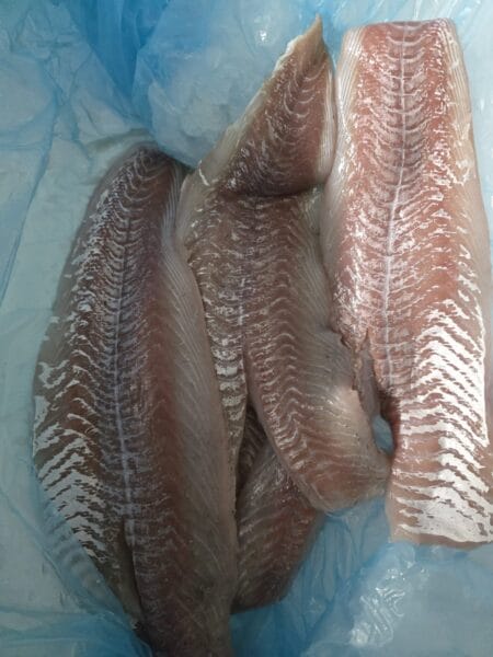 Filets de lieu noir surgelés – 22,90€/kg