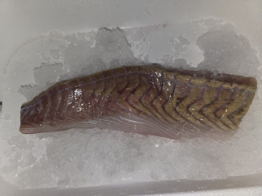 Dos de lieu noir surgelé – 29,90€/kg
