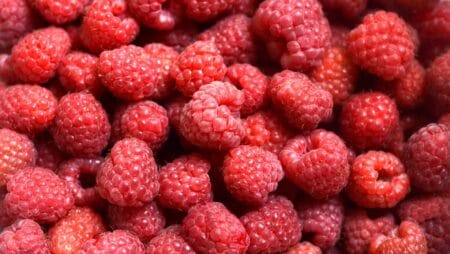 Framboises fraîches – 125 g