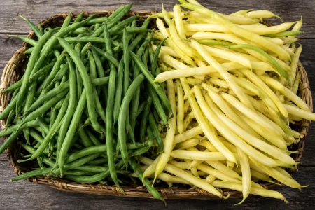 Haricots verts ou jaunes