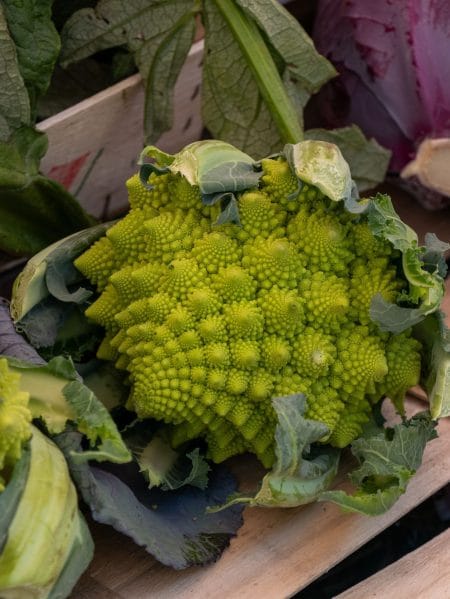 Chou Romanesco
