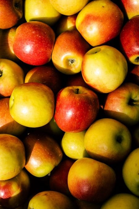 Pommes Elstar
