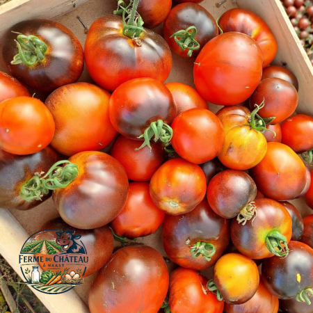 Tomates 2e choix par 6kg *** Promo ***